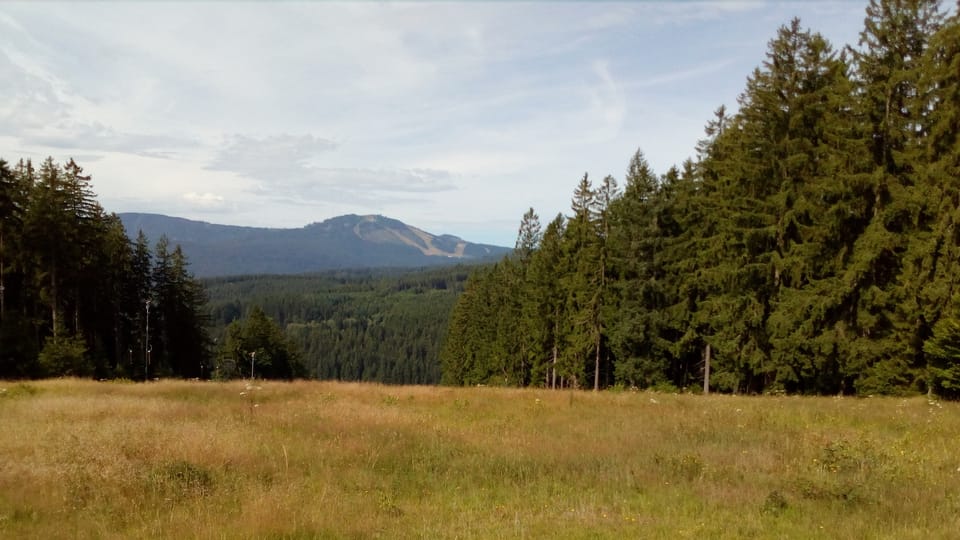 Šumava, photo: Till Janzer Šumava, photo: Till Janzer