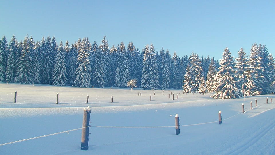 Šumava, photo: Archives de Radio Prague Int. Šumava, photo: Archives de Radio Prague Int.