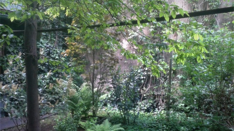 Le jardin des censeurs, photo: Site officiel de l’Open Gardens Weekend Le jardin des censeurs, photo: Site officiel de l’Open Gardens Weekend