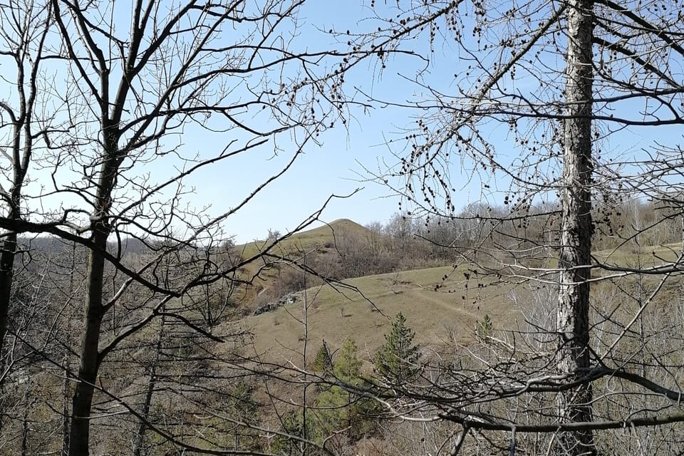 La réserve naturelle d’Homolka, photo: Štěpánka Budková La réserve naturelle d’Homolka, photo: Štěpánka Budková