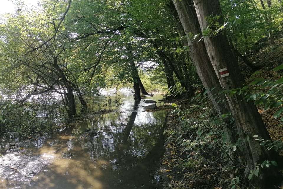 Un sentier de randonnée inondé par le débordement da rivière Sázava | Photo: Anaïs Raimbault, Radio Prague Int. Un sentier de randonnée inondé par le débordement da rivière Sázava | Photo: Anaïs Raimbault, Radio Prague Int.