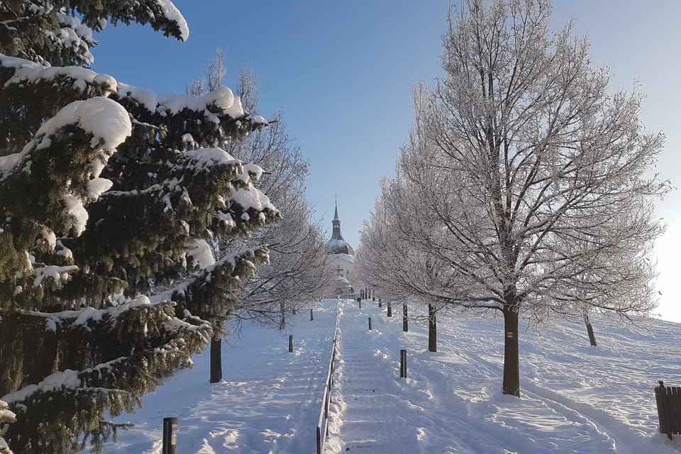 Le chemin vers l'église Saint-Jean-Népomucène à Zelená Hora | Photo: Zdeňka Kuchyňová, Radio Prague Int. Le chemin vers l'église Saint-Jean-Népomucène à Zelená Hora | Photo: Zdeňka Kuchyňová, Radio Prague Int.