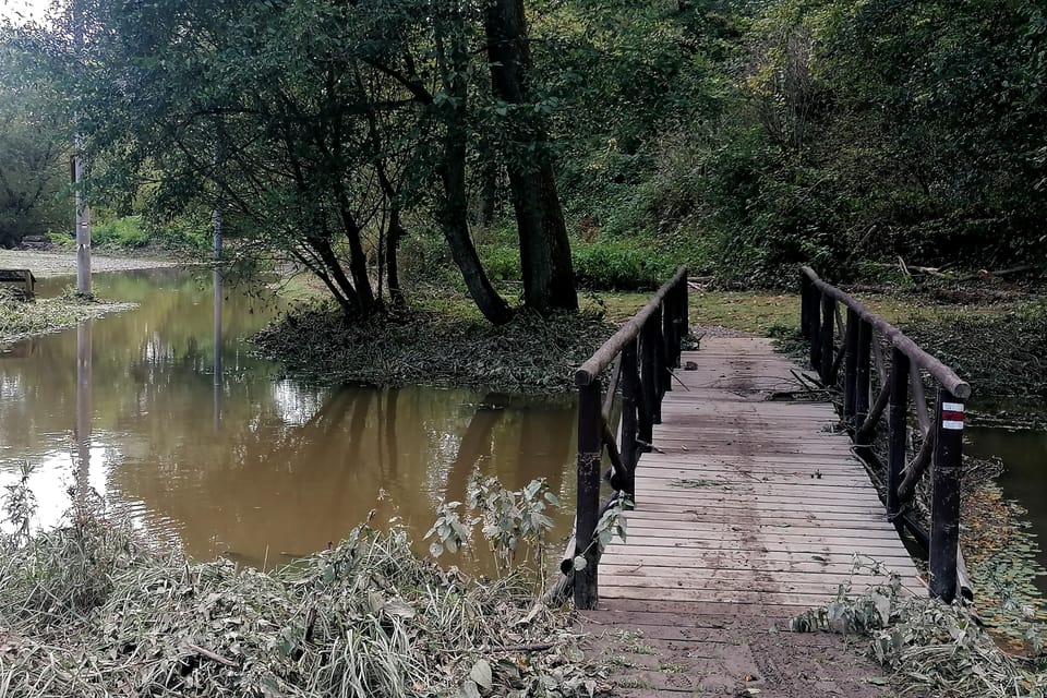 Un sentier de randonnée inondé par le débordement da rivière Sázava | Photo: Anaïs Raimbault, Radio Prague Int. Un sentier de randonnée inondé par le débordement da rivière Sázava | Photo: Anaïs Raimbault, Radio Prague Int.