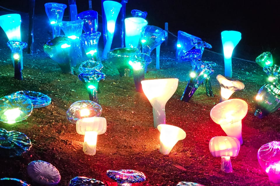 L’exposition 'Le jardin de cristal' de Jiří Pačinek au Jardin botanique de Prague | Photo: Štěpánka Budková,  Radio Prague Int.