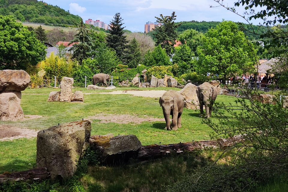 Le zoo de Prague | Photo: Daniel Ordóñez,  Radio Prague Int.