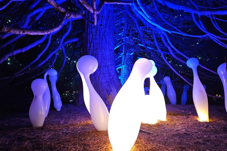 L’exposition 'Le jardin de cristal' de Jiří Pačinek au Jardin botanique de Prague | Photo: Štěpánka Budková,  Radio Prague Int.