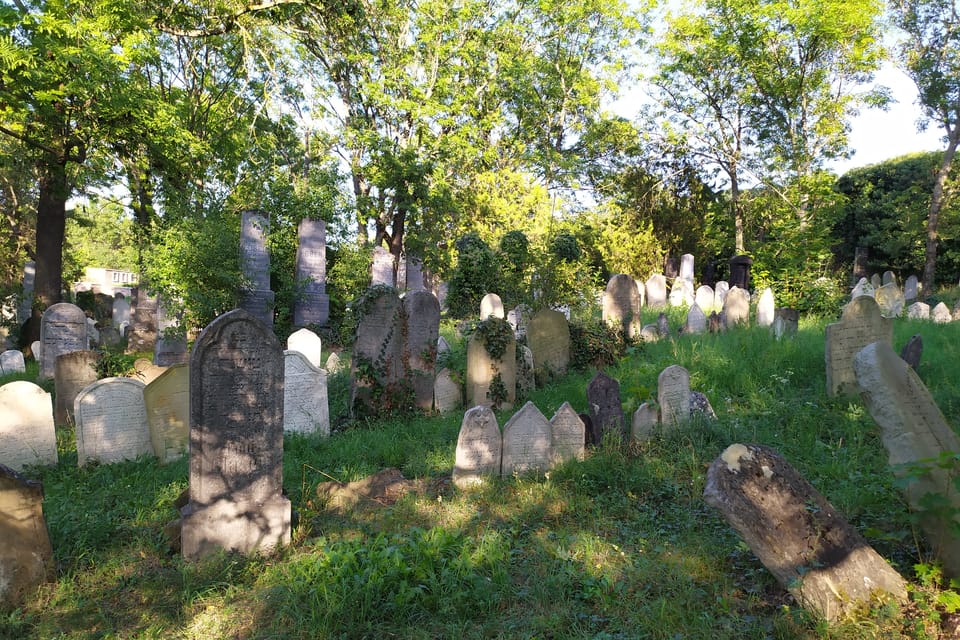 Le cimetière juif | Photo: Magdalena Hrozínková, Radio Prague Int. Le cimetière juif | Photo: Magdalena Hrozínková, Radio Prague Int.