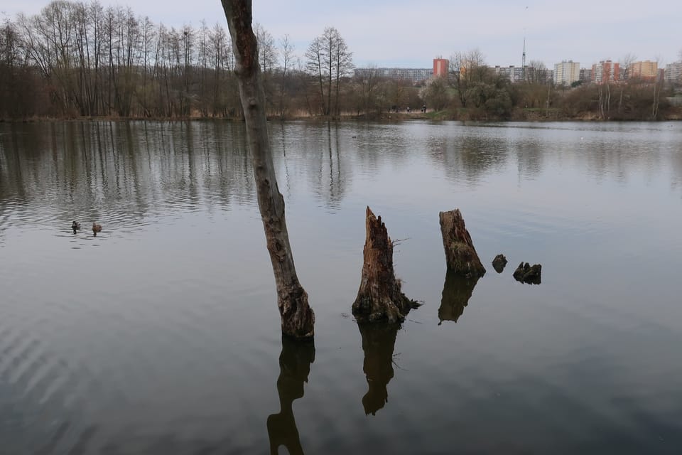L’étang Pískovna à Prague - Dolní Počernice | Photo: Štěpánka Budková, Radio Prague Int. L’étang Pískovna à Prague - Dolní Počernice | Photo: Štěpánka Budková, Radio Prague Int.