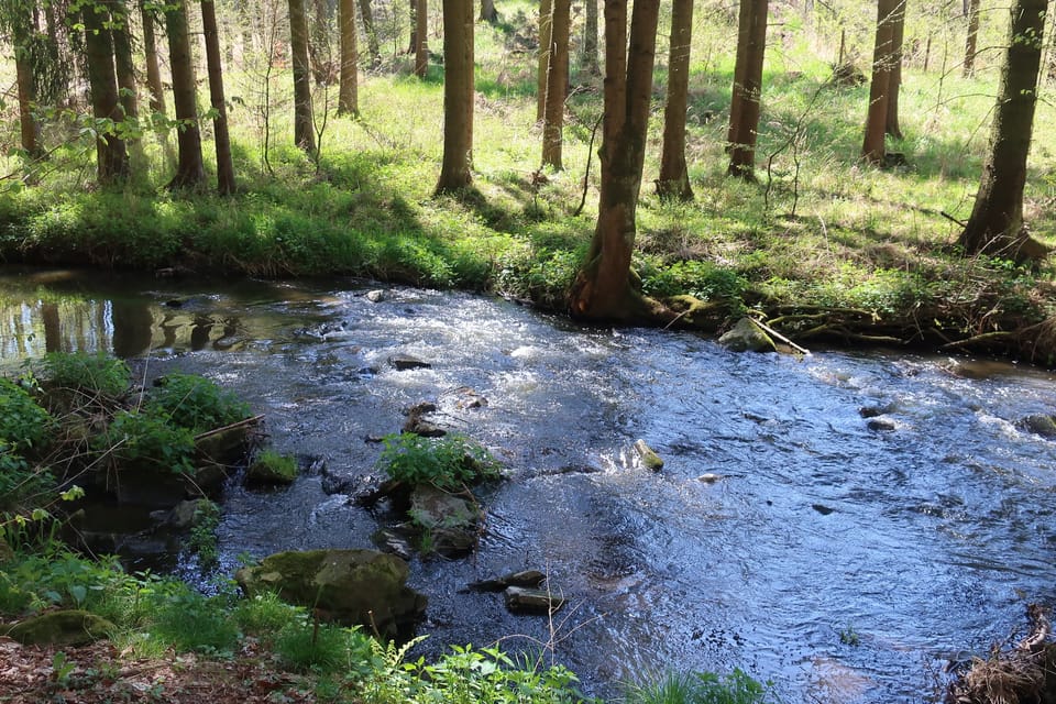 Le ruisseau Konopišťský à Měsíční údolí | Photo: Štěpánka Budková, Radio Prague Int. Le ruisseau Konopišťský à Měsíční údolí | Photo: Štěpánka Budková, Radio Prague Int.