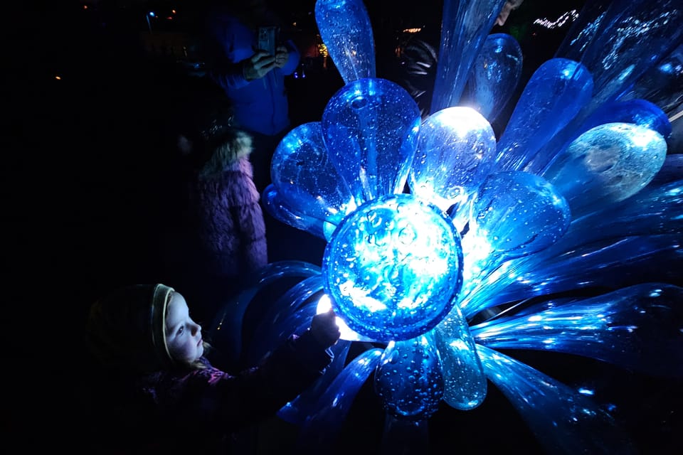 L’exposition 'Le jardin de cristal' de Jiří Pačinek au Jardin botanique de Prague | Photo: Štěpánka Budková,  Radio Prague Int.