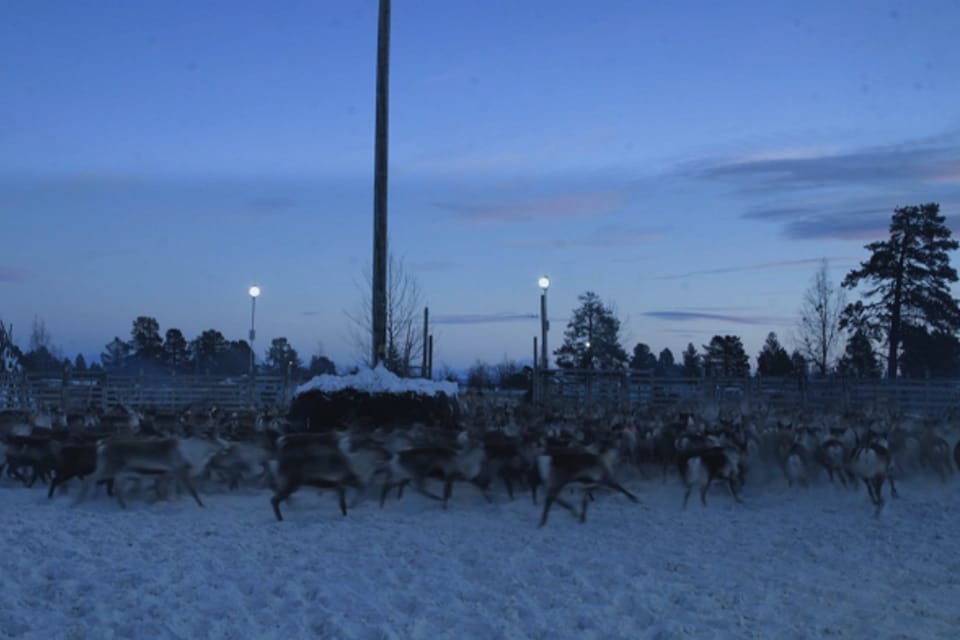 'Kiruna - A Brand New World',  photo: Analog Vision