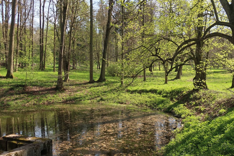 Le parc du château de Konopiště | Photo: Štěpánka Budková, Radio Prague Int. Le parc du château de Konopiště | Photo: Štěpánka Budková, Radio Prague Int.