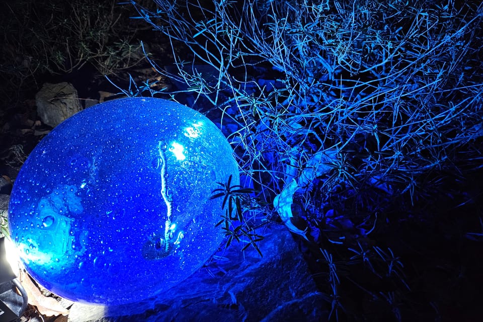 L’exposition 'Le jardin de cristal' de Jiří Pačinek au Jardin botanique de Prague | Photo: Štěpánka Budková,  Radio Prague Int.