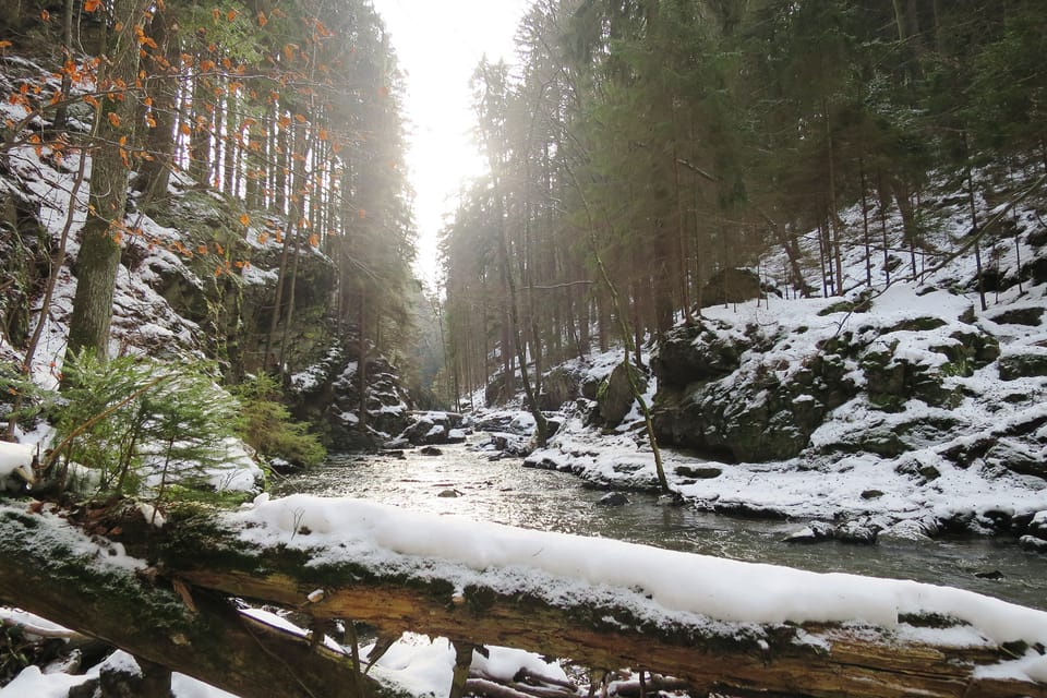 La rivière Doubrava | Photo: Tereza Brázdová,  ČRo
