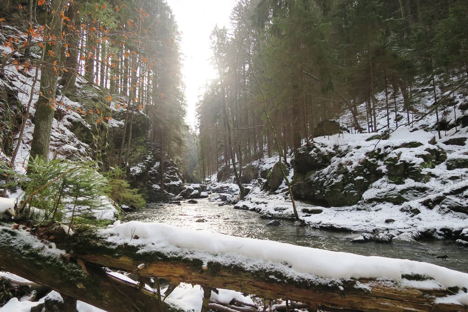 La rivière Doubrava | Photo: Tereza Brázdová, ČRo La rivière Doubrava | Photo: Tereza Brázdová, ČRo