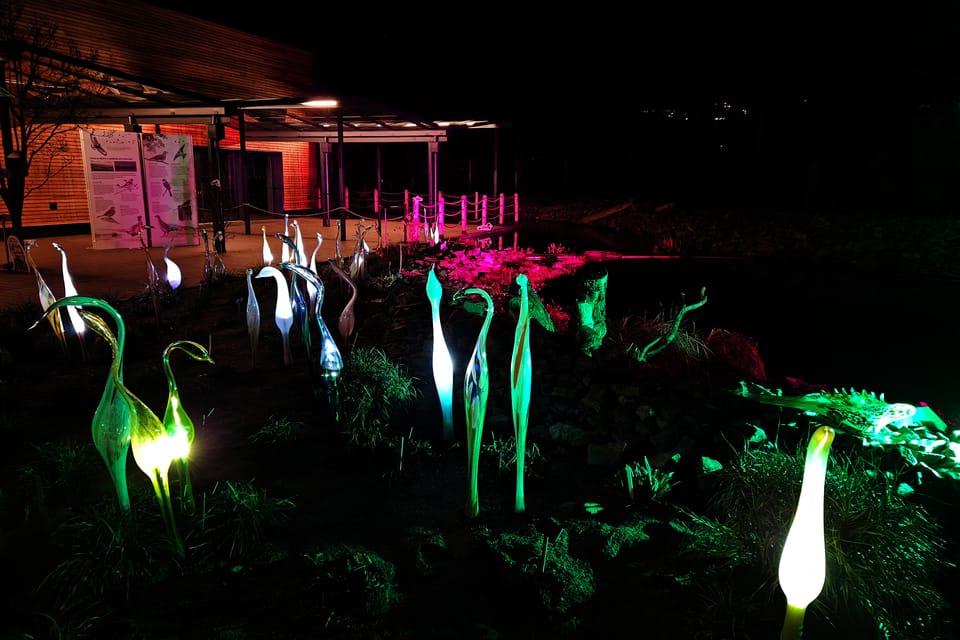 L’exposition 'Le jardin de cristal' de Jiří Pačinek au Jardin botanique de Prague | Photo: Štěpánka Budková,  Radio Prague Int.