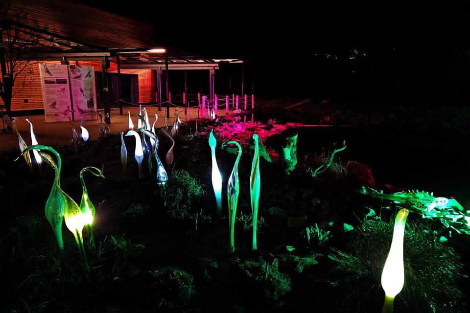 L’exposition 'Le jardin de cristal' de Jiří Pačinek au Jardin botanique de Prague | Photo: Štěpánka Budková, Radio Prague Int. L’exposition 'Le jardin de cristal' de Jiří Pačinek au Jardin botanique de Prague | Photo: Štěpánka Budková, Radio Prague Int.