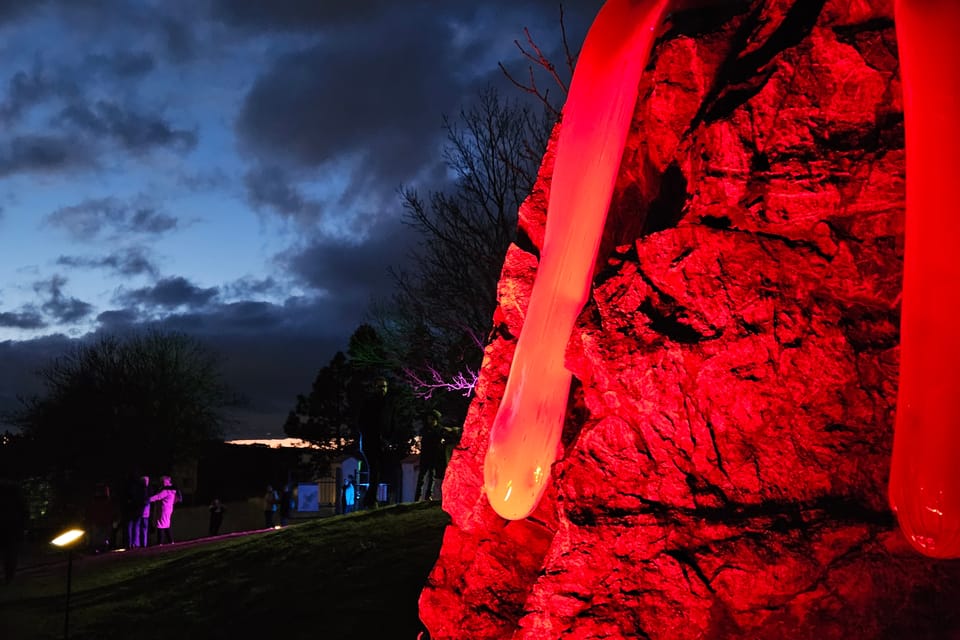 L’exposition 'Le jardin de cristal' de Jiří Pačinek au Jardin botanique de Prague | Photo: Štěpánka Budková,  Radio Prague Int.