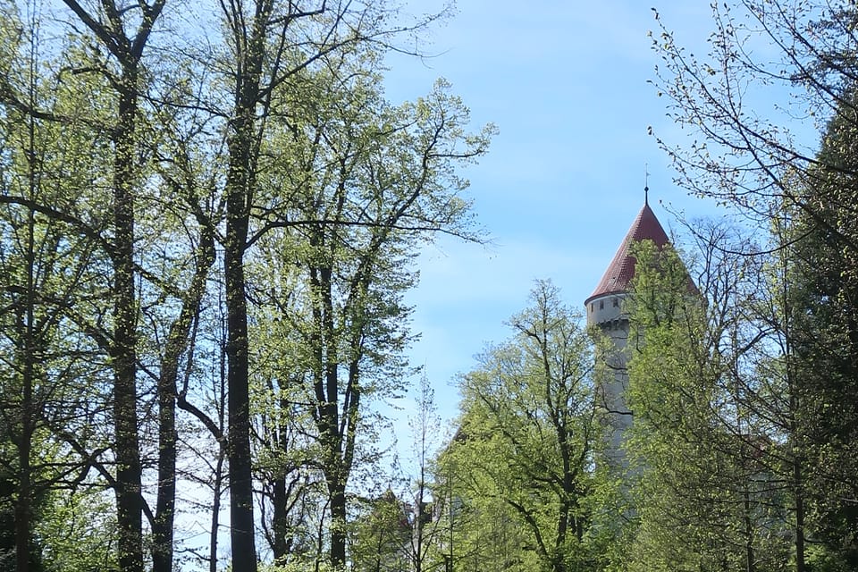 Le parc du château de Konopiště | Photo: Štěpánka Budková, Radio Prague Int. Le parc du château de Konopiště | Photo: Štěpánka Budková, Radio Prague Int.