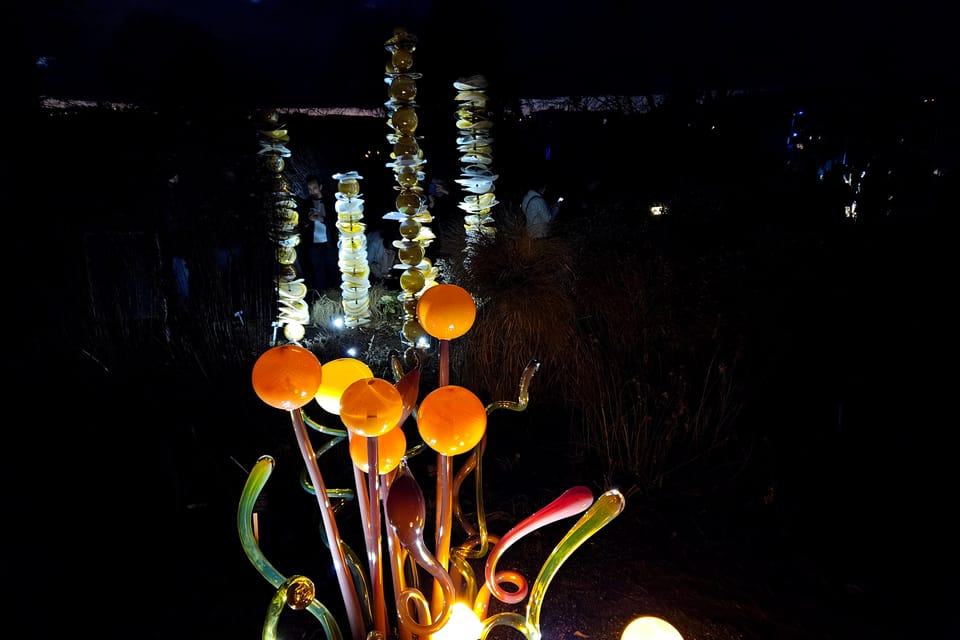 L’exposition 'Le jardin de cristal' de Jiří Pačinek au Jardin botanique de Prague | Photo: Štěpánka Budková,  Radio Prague Int.