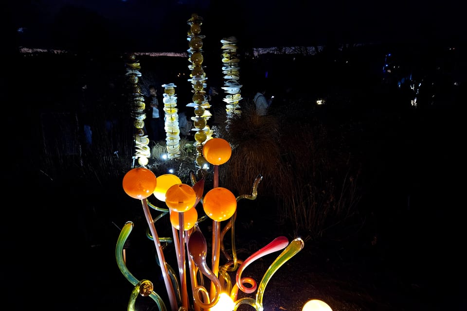 L’exposition 'Le jardin de cristal' de Jiří Pačinek au Jardin botanique de Prague | Photo: Štěpánka Budková, Radio Prague Int. L’exposition 'Le jardin de cristal' de Jiří Pačinek au Jardin botanique de Prague | Photo: Štěpánka Budková, Radio Prague Int.