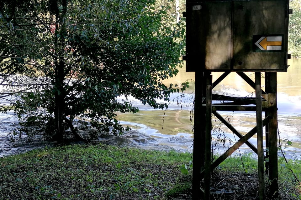 Un sentier de randonnée inondé par le débordement da rivière Sázava | Photo: Anaïs Raimbault, Radio Prague Int. Un sentier de randonnée inondé par le débordement da rivière Sázava | Photo: Anaïs Raimbault, Radio Prague Int.