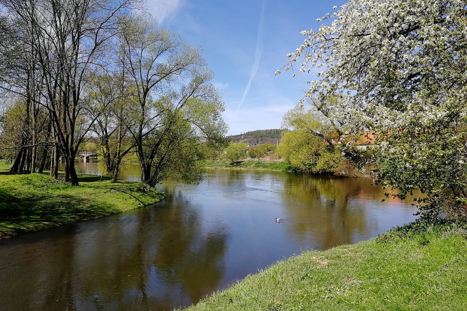 Le ruisseau Konopišťský et la rivière Sázava à Poříčí nad Sázavou à Poříčí nad Sázavou | Photo: Štěpánka Budková, Radio Prague Int. Le ruisseau Konopišťský et la rivière Sázava à Poříčí nad Sázavou à Poříčí nad Sázavou | Photo: Štěpánka Budková, Radio Prague Int.
