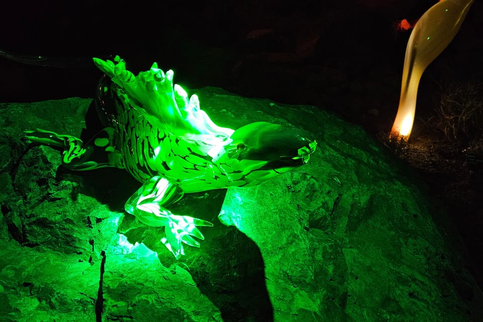 L’exposition 'Le jardin de cristal' de Jiří Pačinek au Jardin botanique de Prague | Photo: Štěpánka Budková,  Radio Prague Int.