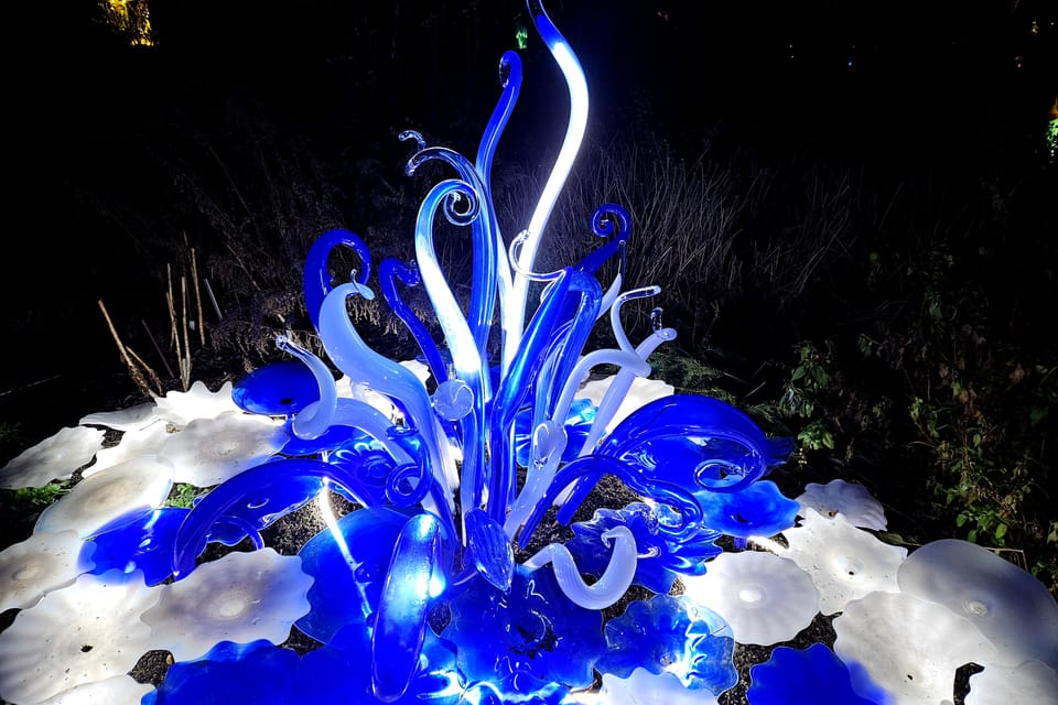 L’exposition 'Le jardin de cristal' de Jiří Pačinek au Jardin botanique de Prague | Photo: Štěpánka Budková, Radio Prague Int. L’exposition 'Le jardin de cristal' de Jiří Pačinek au Jardin botanique de Prague | Photo: Štěpánka Budková, Radio Prague Int.