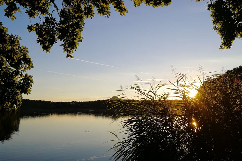 L'étang de Milčany, photo: Štěpánka Budková L'étang de Milčany, photo: Štěpánka Budková