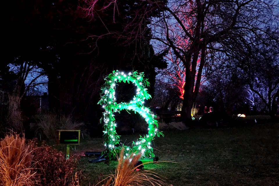 L’exposition 'Le jardin de cristal' de Jiří Pačinek au Jardin botanique de Prague | Photo: Štěpánka Budková,  Radio Prague Int.