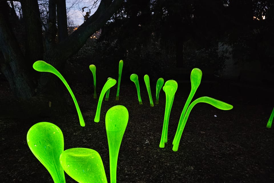 L’exposition 'Le jardin de cristal' de Jiří Pačinek au Jardin botanique de Prague | Photo: Štěpánka Budková,  Radio Prague Int.