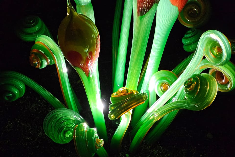 L’exposition 'Le jardin de cristal' de Jiří Pačinek au Jardin botanique de Prague | Photo: Štěpánka Budková,  Radio Prague Int.