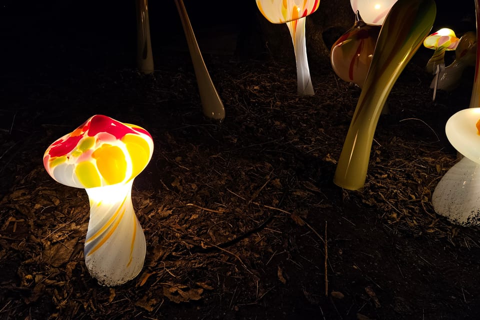 L’exposition 'Le jardin de cristal' de Jiří Pačinek au Jardin botanique de Prague | Photo: Štěpánka Budková,  Radio Prague Int.