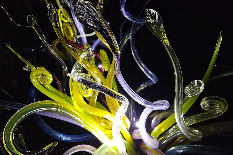 L’exposition 'Le jardin de cristal' de Jiří Pačinek au Jardin botanique de Prague | Photo: Štěpánka Budková, Radio Prague Int. L’exposition 'Le jardin de cristal' de Jiří Pačinek au Jardin botanique de Prague | Photo: Štěpánka Budková, Radio Prague Int.