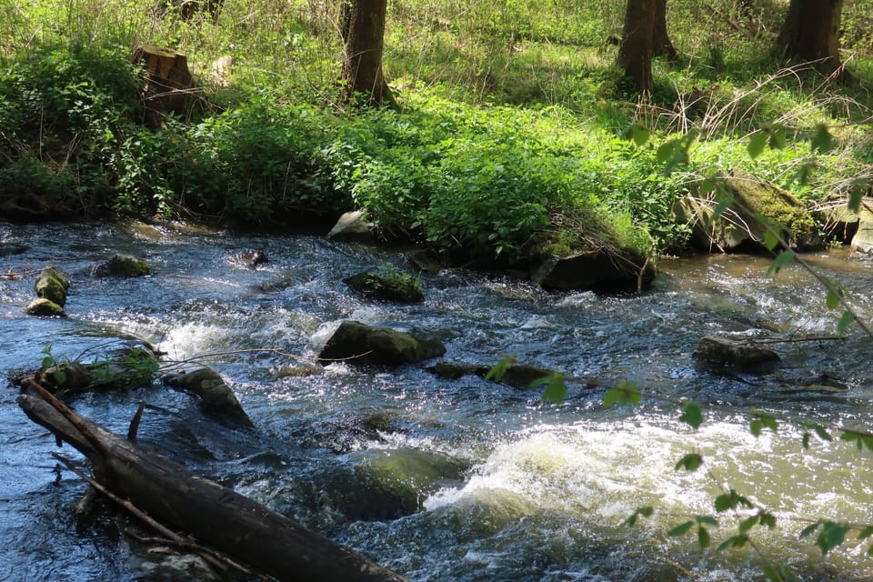Le ruisseau Konopišťský à Měsíční údolí | Photo: Štěpánka Budková, Radio Prague Int. Le ruisseau Konopišťský à Měsíční údolí | Photo: Štěpánka Budková, Radio Prague Int.