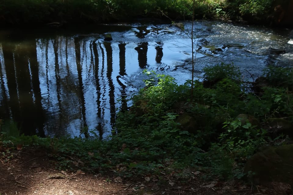 Le ruisseau Konopišťský à Měsíční údolí | Photo: Štěpánka Budková, Radio Prague Int. Le ruisseau Konopišťský à Měsíční údolí | Photo: Štěpánka Budková, Radio Prague Int.