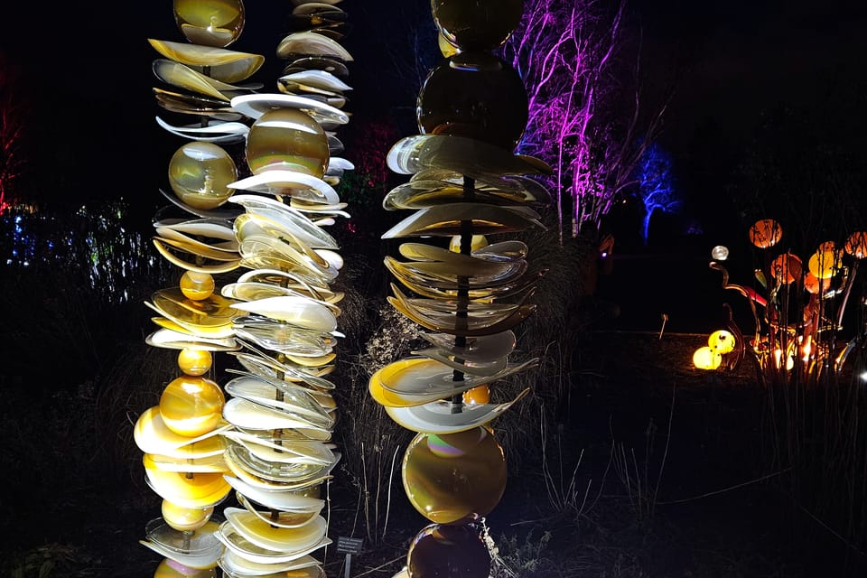 L’exposition 'Le jardin de cristal' de Jiří Pačinek au Jardin botanique de Prague | Photo: Štěpánka Budková, Radio Prague Int. L’exposition 'Le jardin de cristal' de Jiří Pačinek au Jardin botanique de Prague | Photo: Štěpánka Budková, Radio Prague Int.