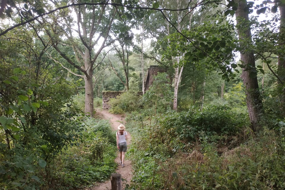 Les ruines de Jiljov, photo: Bohumil Šimčík Les ruines de Jiljov, photo: Bohumil Šimčík
