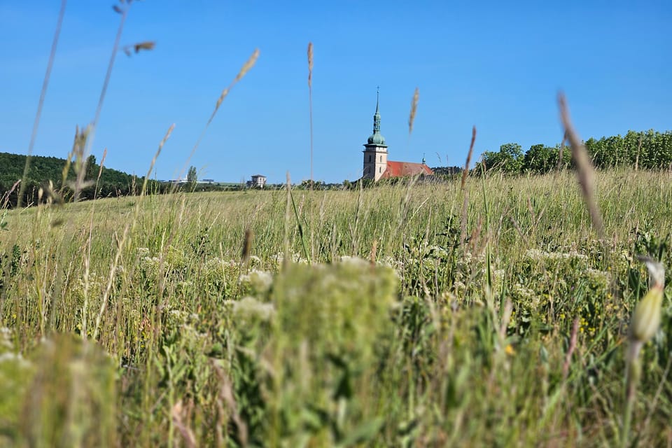 L'église de l'Assomption de la Vierge Marie | Photo: Štěpánka Budková,  Radio Prague Int.