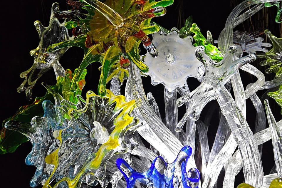 L’exposition 'Le jardin de cristal' de Jiří Pačinek au Jardin botanique de Prague | Photo: Štěpánka Budková, Radio Prague Int. L’exposition 'Le jardin de cristal' de Jiří Pačinek au Jardin botanique de Prague | Photo: Štěpánka Budková, Radio Prague Int.
