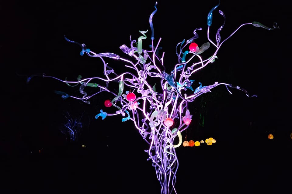 L’exposition 'Le jardin de cristal' de Jiří Pačinek au Jardin botanique de Prague | Photo: Štěpánka Budková,  Radio Prague Int.