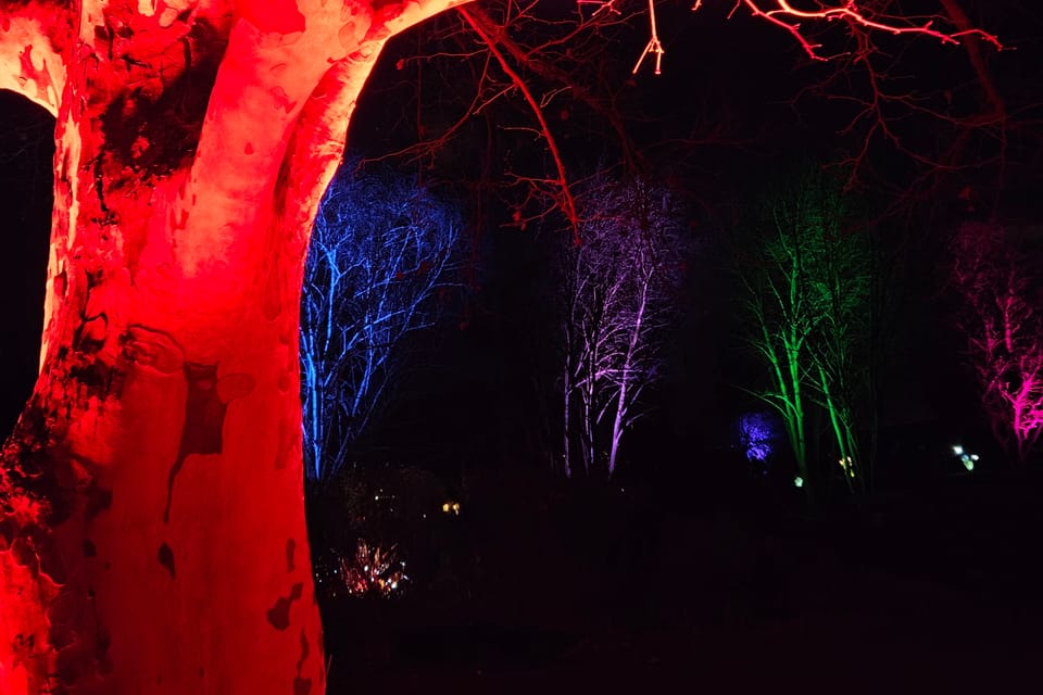 L’exposition 'Le jardin de cristal' de Jiří Pačinek au Jardin botanique de Prague | Photo: Štěpánka Budková,  Radio Prague Int.