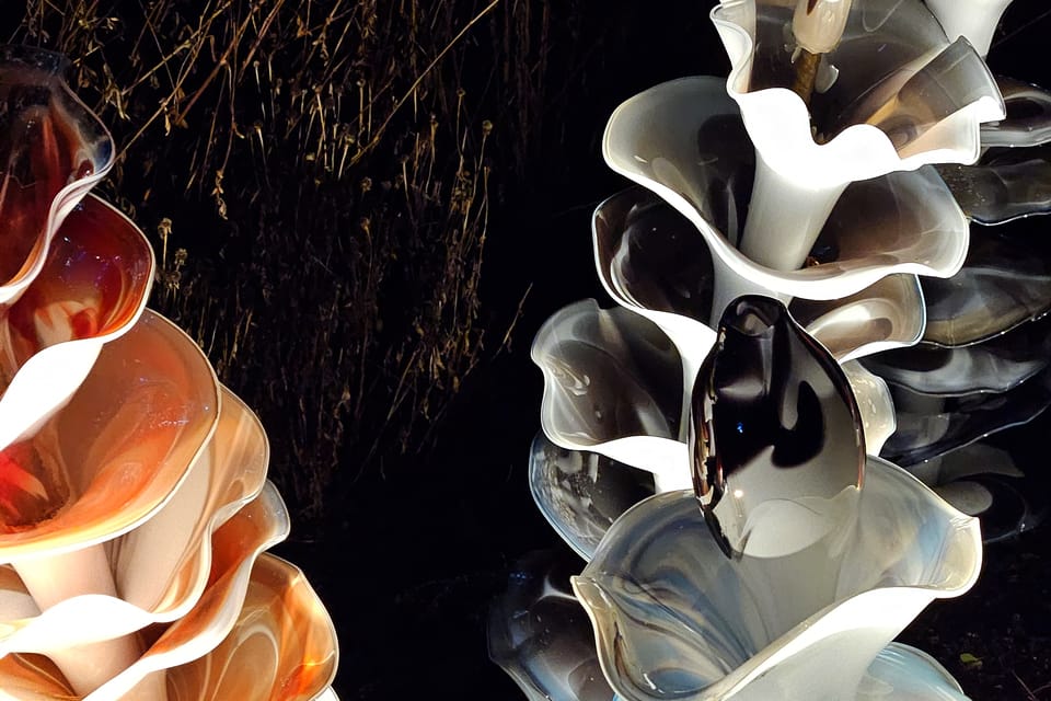 L’exposition 'Le jardin de cristal' de Jiří Pačinek au Jardin botanique de Prague | Photo: Štěpánka Budková, Radio Prague Int. L’exposition 'Le jardin de cristal' de Jiří Pačinek au Jardin botanique de Prague | Photo: Štěpánka Budková, Radio Prague Int.