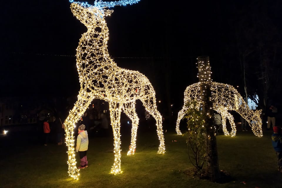 Noël dans la ville de Jičín | Photo: Barbora Němcová, Radio Prague Int. Noël dans la ville de Jičín | Photo: Barbora Němcová, Radio Prague Int.