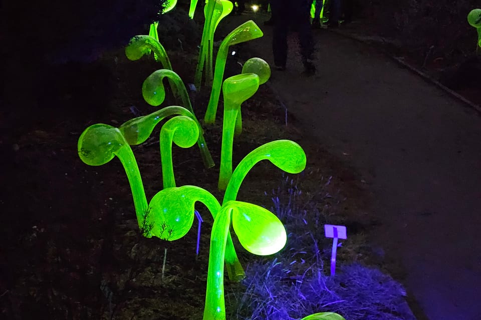 L’exposition 'Le jardin de cristal' de Jiří Pačinek au Jardin botanique de Prague | Photo: Štěpánka Budková,  Radio Prague Int.