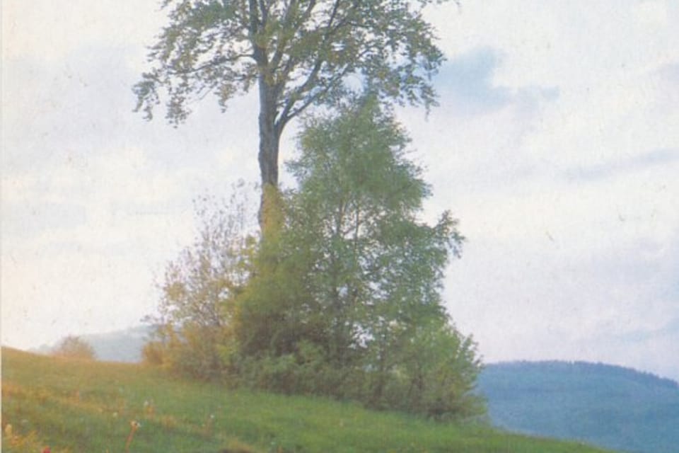 QSL 1992 | Photo: Archives de ČRo QSL 1992 | Photo: Archives de ČRo