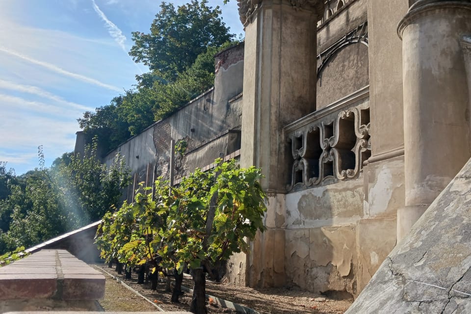 Le jardin Grand Pálffy | Photo: Lenka Žižková,  Radio Prague Int.