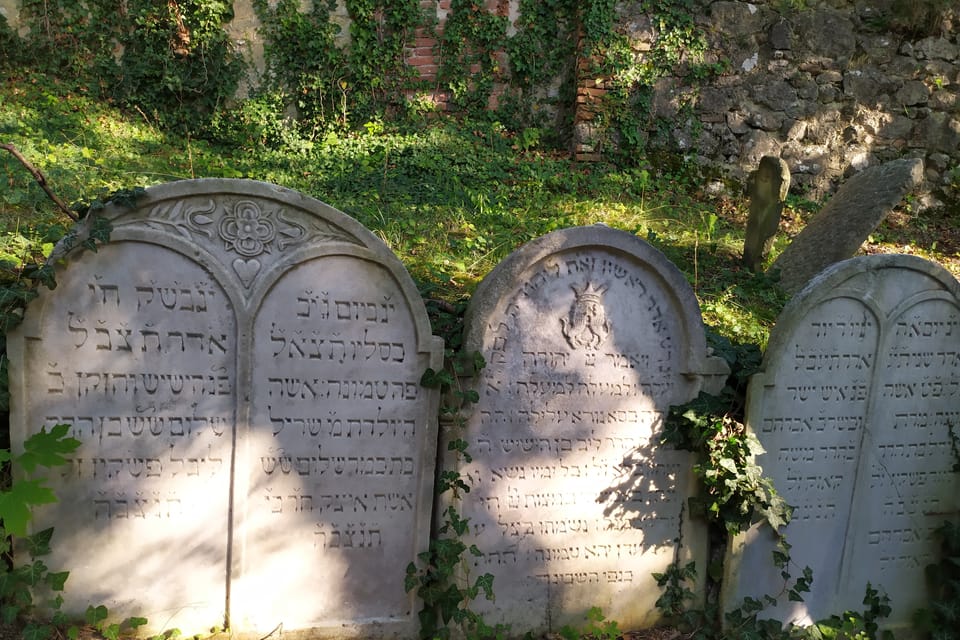 Le cimetière juif | Photo: Magdalena Hrozínková, Radio Prague Int. Le cimetière juif | Photo: Magdalena Hrozínková, Radio Prague Int.
