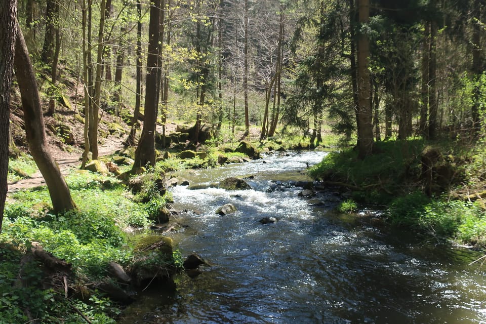Le ruisseau Konopišťský à Měsíční údolí | Photo: Štěpánka Budková, Radio Prague Int. Le ruisseau Konopišťský à Měsíční údolí | Photo: Štěpánka Budková, Radio Prague Int.
